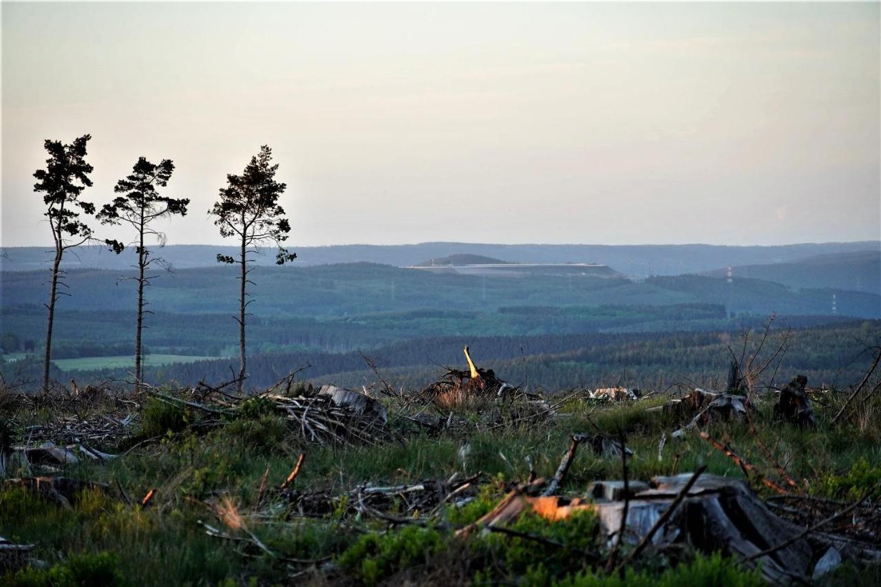 "Petite Perle En Haute Ardenne" Avec Vue Sur La Vallee, Cabine Infra-Rouge Et Bain Balneo Lierneux 외부 사진